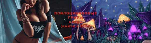 PSILOCYBIN Армянск
